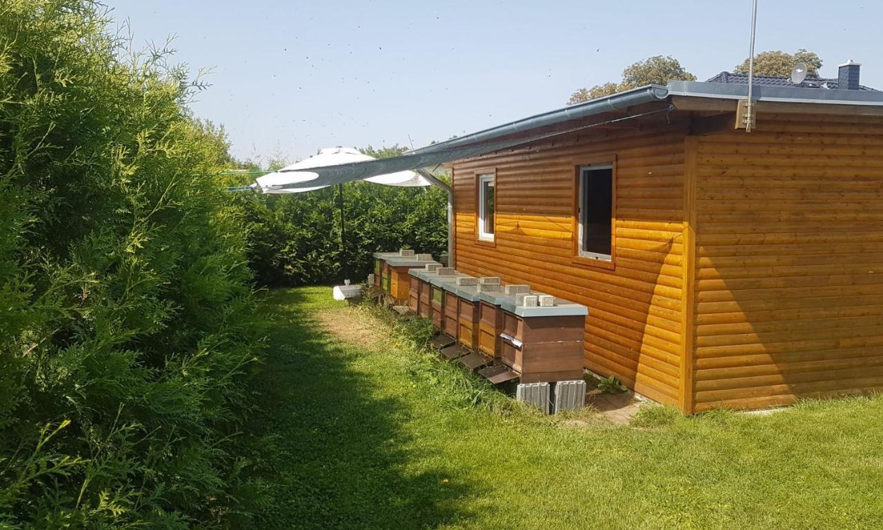 Ferienhaus Zum Imker Velten Exterior photo